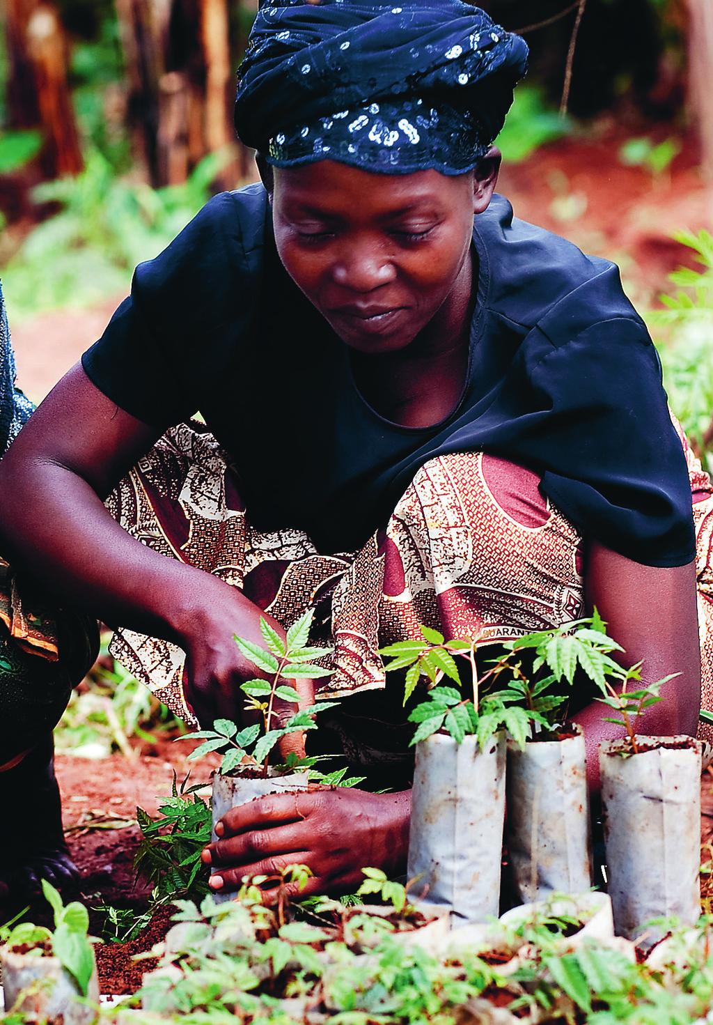 Loransi Mukarutagwenda, Rwanda.