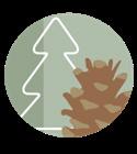 Projektet ska ta fram ett kunskapsunderlag som visar potentialen i biomassaproduktion från jordbruksmark och skogsmark. Underlaget ska också behandla hur olika miljörisker kan undvikas.