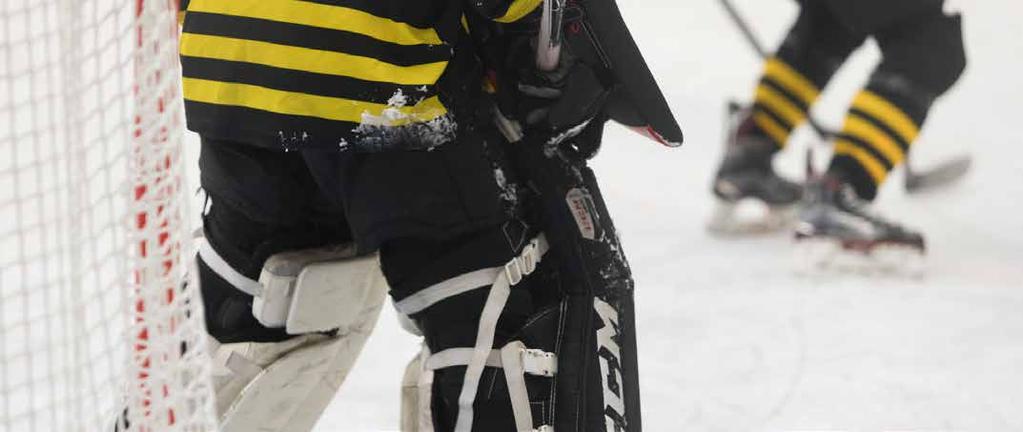 AIK Ungdomsishockey Hockeyskolan Leken ska inom ungdomsishockeyns yngre åldrar vara en Hockeyskolan är till för flickor och pojkar, 5 8 år (yngre i mån av plats).