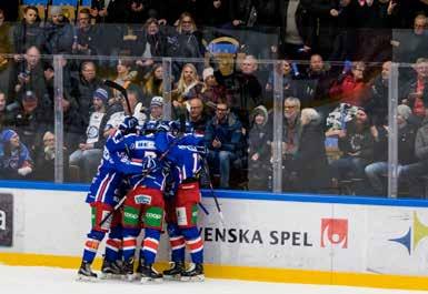 HockeyAllsvenskan har varit rikstäckande sedan 2005. LAGETS FRAMFART på isen blir en framgång för alla våra partners, lite som en god avkastning på satsat kapital.