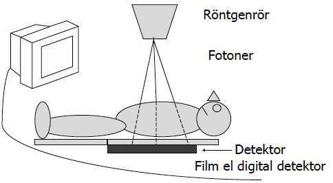 140409 Radiologiska metoder Strålande metoder Slätröntgen Innebär att man skickar röntgenstrålning, dvs fotoner, från ett röntgenrör.