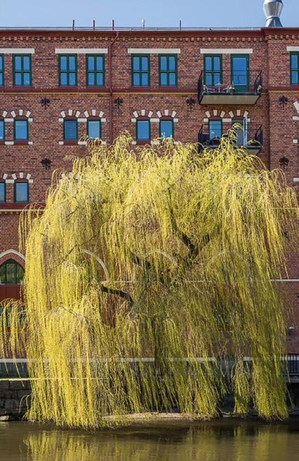 det historiska industrilandskapet, charmiga Knäppingsborg samt