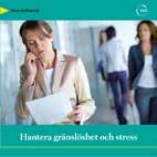 Ytterligare en skillnad mot tidigare är att ersättningen upphör vid 65 år.