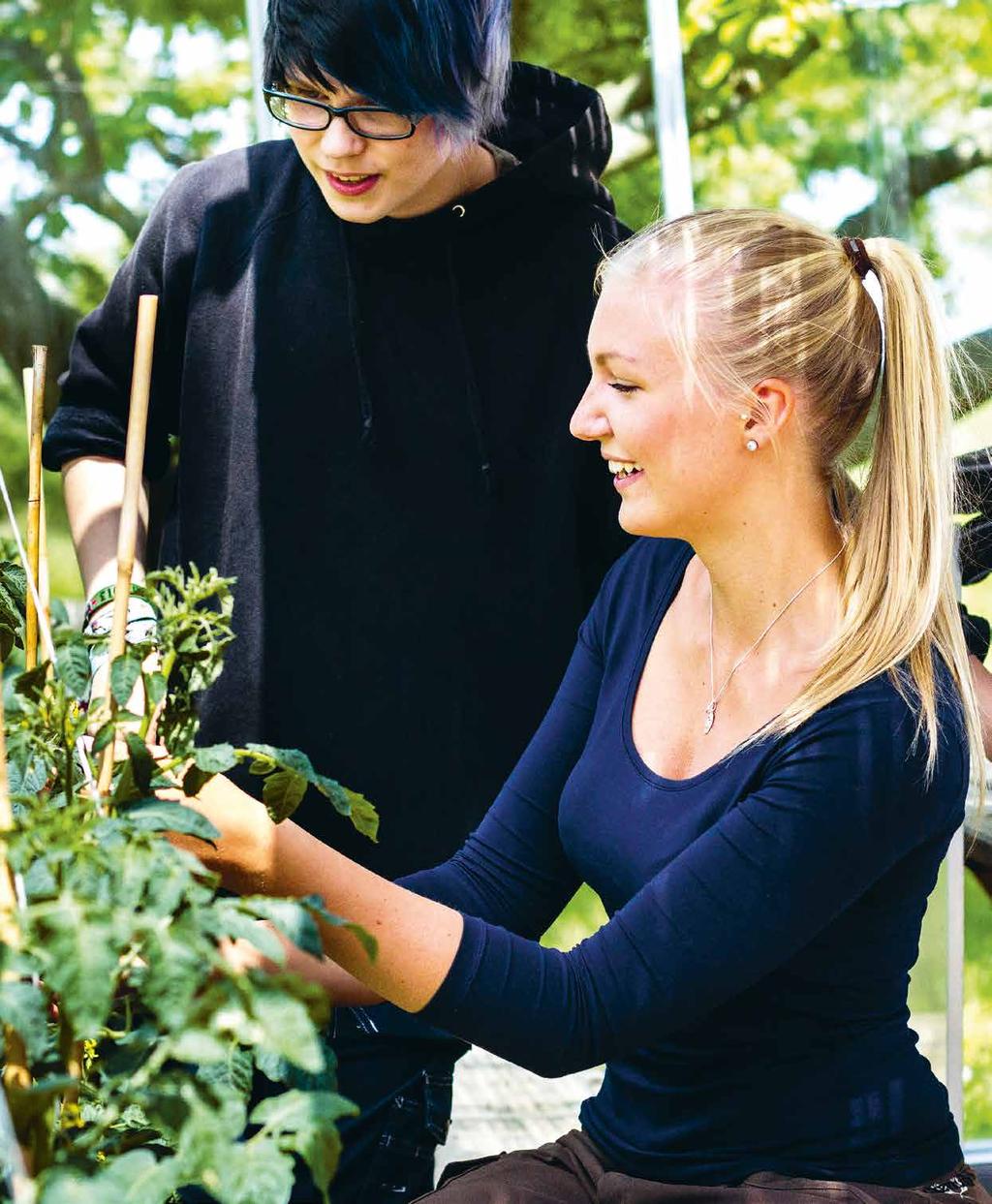 18 NATURBRUKSPROGRAMMET EN UTBILDNING SOM GER FRUKT Är du intresserad av odling, växter och design eller maskiner och