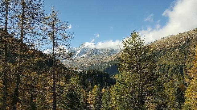 stigning 1320 m, sänkning: 880 m Krävande svår vandring (grad 4-5) 19 km Utsikt över Val Bever Dag 5 Tåg St Moritz Morteratsch, vandring till Alp Grüm En knapp halvtimmes tågresa tar dig från