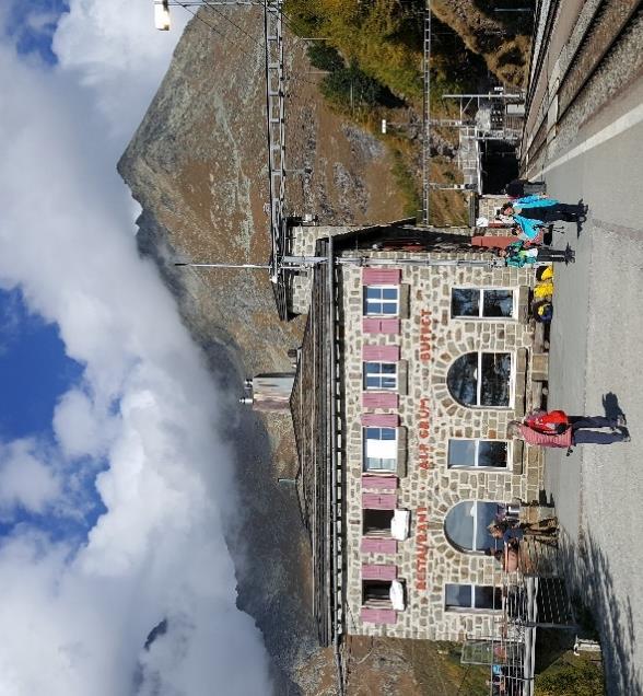 Du passerar många höjdpunkter under dagen, både under tågresan och vandringen. Skogen Stazerwald, Pontresina, glaciärerna vid Morteratsch åker du genom och förbi med tåget.