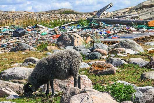 Ren och Attraktiv Kust i Bohuslän Strandstädarkartan ett interaktivt hjälpmedel i kampen mot marint skräp att skräpet behöver hämtas upp och röd betyder att det finns städbehov.