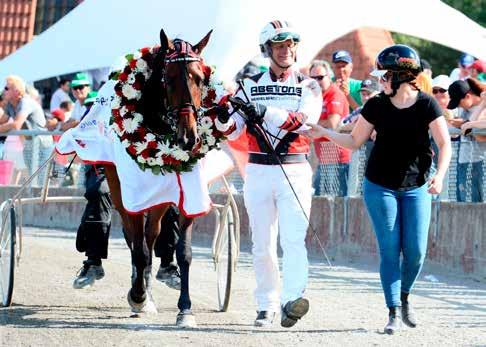 Ultra Bright vinner StoChampionatet 2017. Tävling vinn insatser till insatsloppen Alla som köper häst på Elitauktionen har chansen att vinna insatser till något av nedanstående insatslopp!