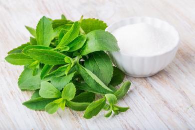 Smaksättare och övrigt Agave Proteinpulver -hampa Aspartam Fruktjuicekoncentrat Lönnsirap Honung Socker (sackaros) Polydextros Stevia Sorbitol Glukossirap Mannitol Maltodextrin Xylitol Resistent