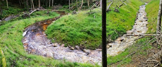 Dessa var Ström, Utby, och Groröd i Västerlanda samt luckområden utanför tidigare inventeringsområden.