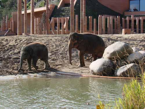 Köpenhamns zoo Följ med på en trevlig dagsutflykt till Köpenhamn med Fritid och kultur. Vi går in på deras fina Zoo och tittar på djur. Ta gärna med matsäck.