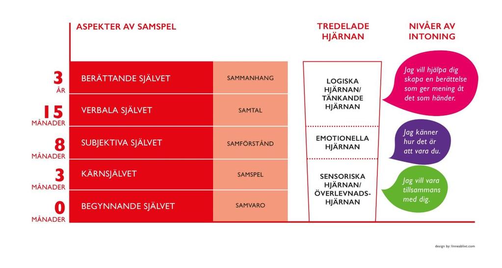 Samspelsnivåer och den tredelade