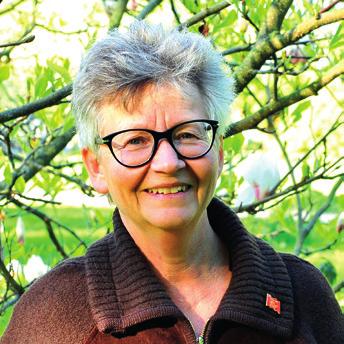 Teaterföreningens utbud bestäms av styrelsen, ofta efter förslag och önskemål
