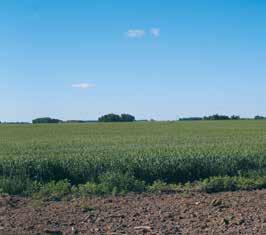 Internationell verksamhet Lettland I Lettland som har goda vindlägen utefter Östersjökusten och i de centralt belägna slättlandskapen bedrivs verksamhet i SIA Eolus.