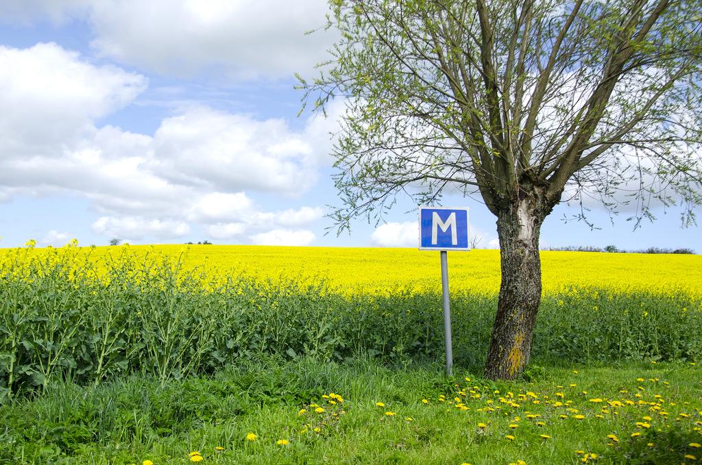 Sveriges Trafikskolors