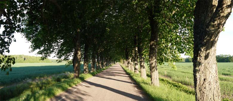 Bakgrund Vi har en längre tid sett konsekvenserna av den liberala ekonomiska politiken på en rad områden. Ett exempel är negativa effekter på den spårbundna kollektivtrafiken.
