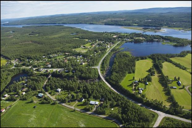 småkuperat skoslandskap.