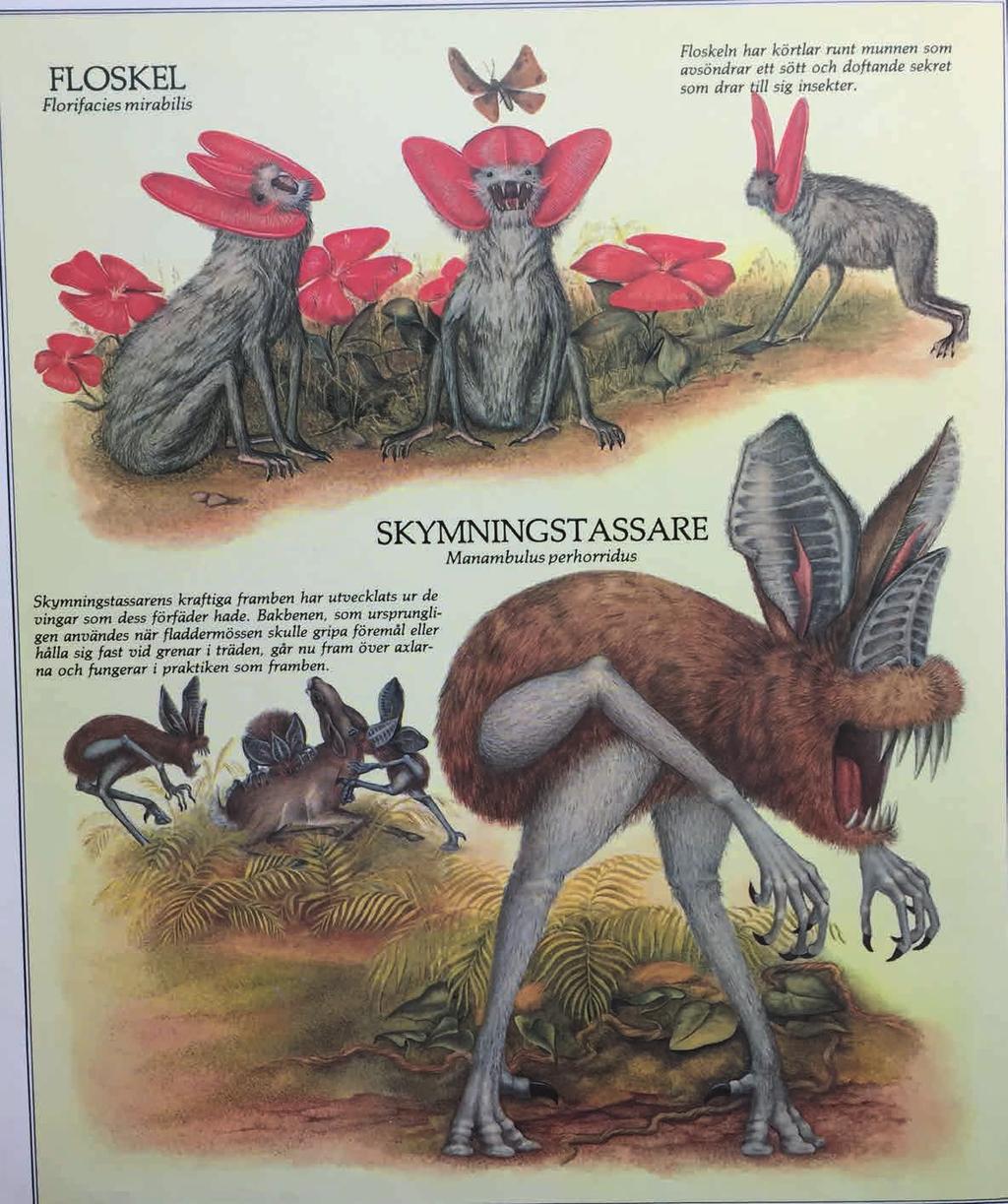 Den skotske paleontologen och geologen Dougal Dixon (född 1947) har skissat på hur djur och växter kan komma att utvecklas efter att människan
