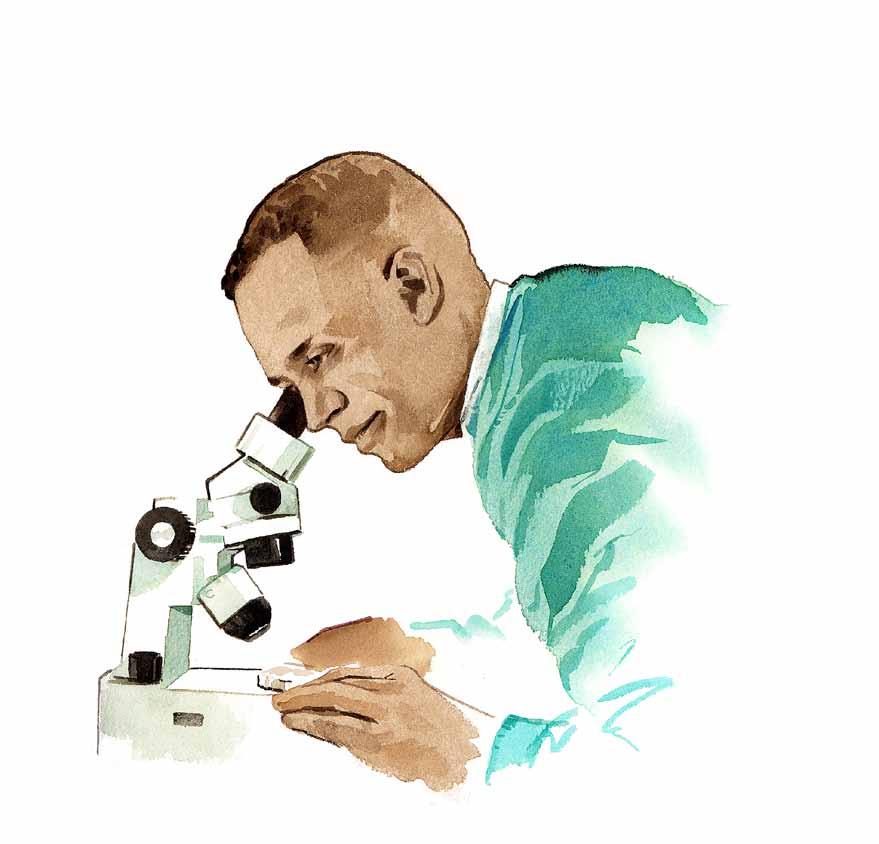 Sarkoidos 31 lupus erythematosus), en inflammationssjukdom som främst angriper leder, hud, blod och njurar, har man sett en hög grad av antikroppar för en variant av vimentin.