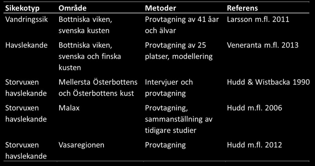 en mer stationär form, som lever hela sitt liv i havsområdet och leker i grunda vikar och älvmynningar.
