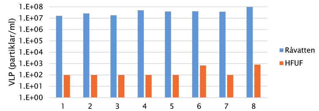 Figur 1. VLP per ml i råvatten från Stångån och samma vatten efter beredning med HFUF, sifforna på x-axeln representerar separata tillfällen för provtagningar. Figur 2.