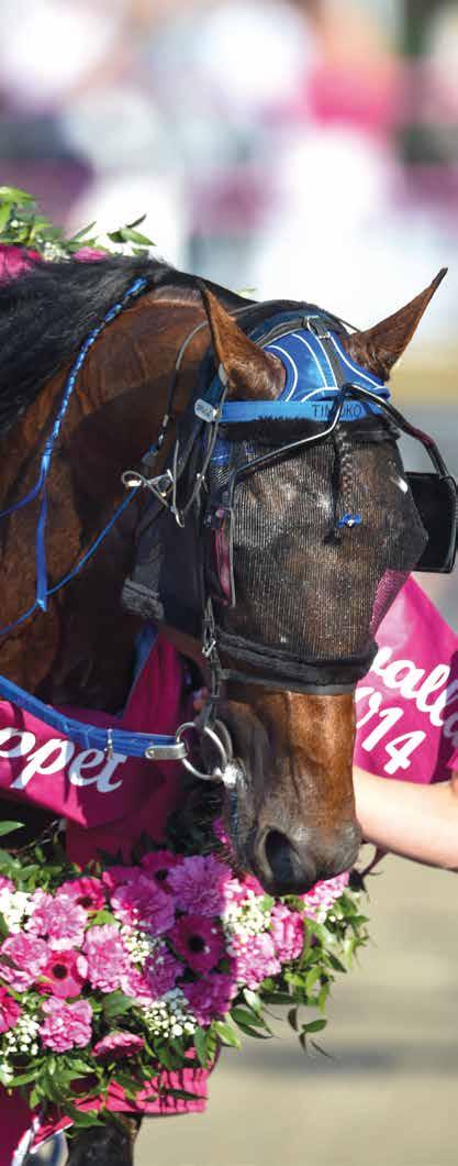 www.visbytravet.