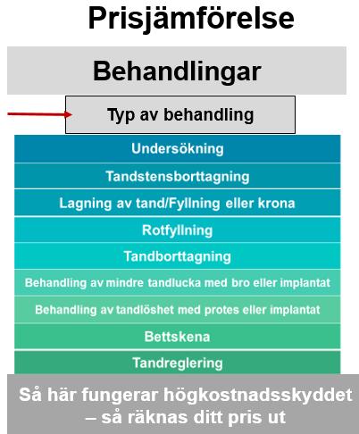 Prisbild När sökning sker utifrån Typ av behandling visas en meny med nio val (se figur 8). Samma behandlingar visas som enligt sökning ovan men är i några fall sorterade på annat sätt.