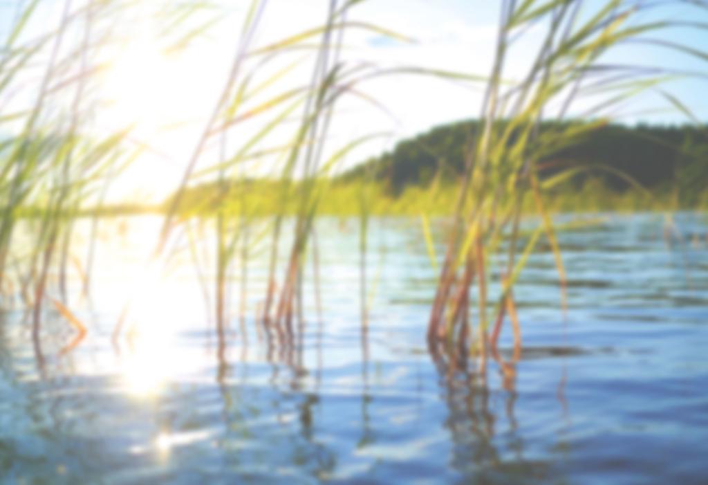 13 Leveransbeskrivning örnträhusstandard immerhus