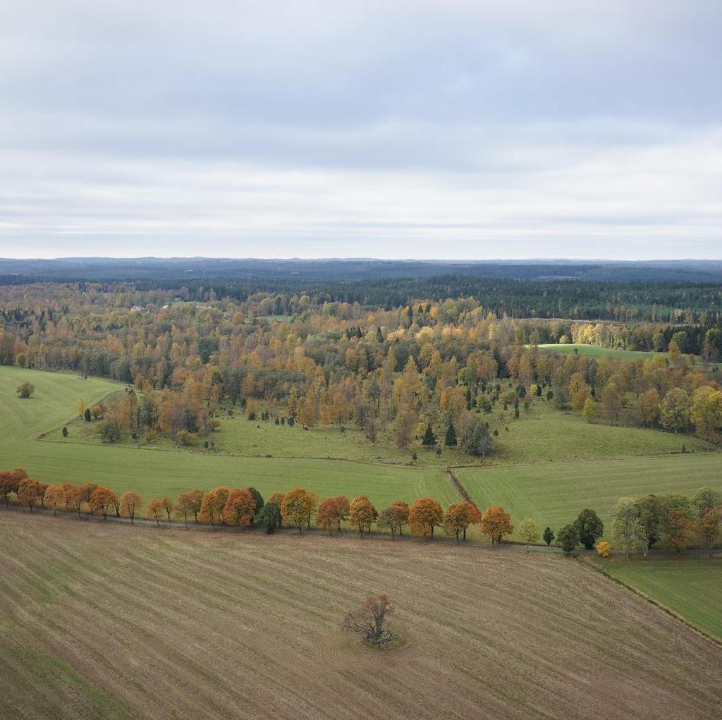 Landskap.