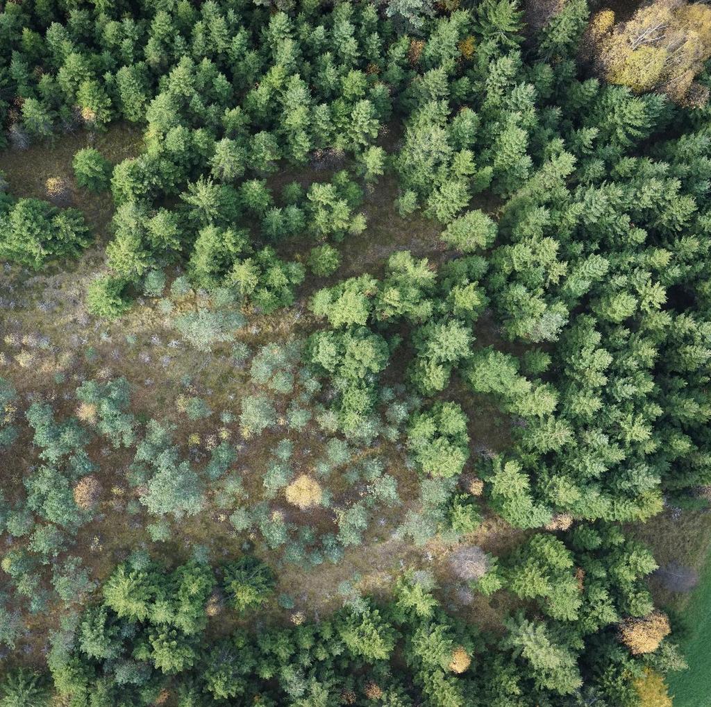 FO Klimat Beskrivning av förutsättningar samt bedömning av konsekvenser och måluppfyllelse har genomförts på en nationell nivå. Se kapitel 2.6.