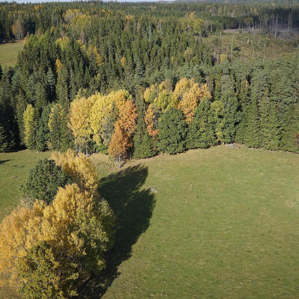 1. Bakgrund - 1.6.