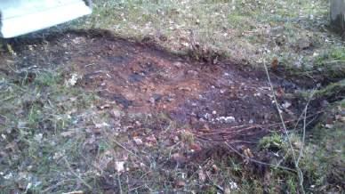 Den andra provgropen inne i skogen har liknande