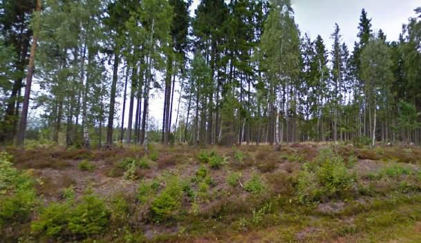 Bilden är tagen längre österut längs väg 15 jämfört med föregående.