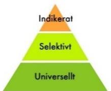 Det finns risk-och skyddsfaktorer som inte går att påverka, exempelvis arv, tidigare erfarenheter, trauman och kön. Men det finns också faktorer som går att arbeta med, som impulskontroll.