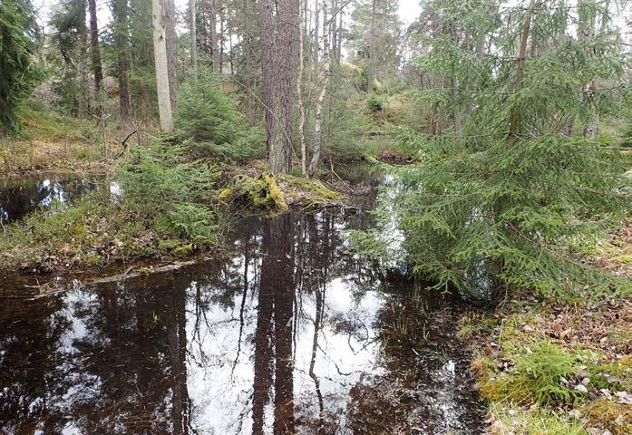 Särholmen Fittja Alby Glömsta Flemingsberg Äldre die intill torplämningen Stensberg, Flemingsbergssogen.