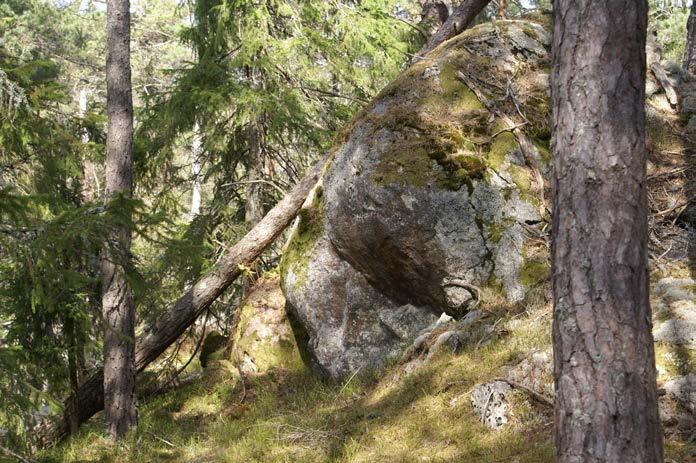 sapar variationsria och trolsa miljöer. Flemingsbergssogen.