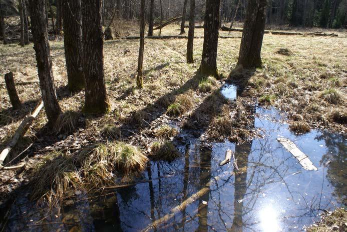Naturreservat Risintresse Naturvård, MB 3:6 Utredningsområde 0 1 2 3 4 5 m 2016-05-24 Lantmäteriet, Geodatasamveran