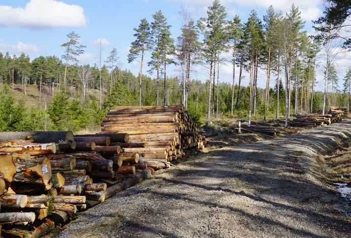 4.6.1 Areella näringar i utredningsområdet Sogsbru Den produtiva sogsmaren inom de tre berörda ommunerna Botyra, Huddinge och Haninge uppgic år 2010 till 8 655, 4 966 respetive 16 373 hetar vardera.