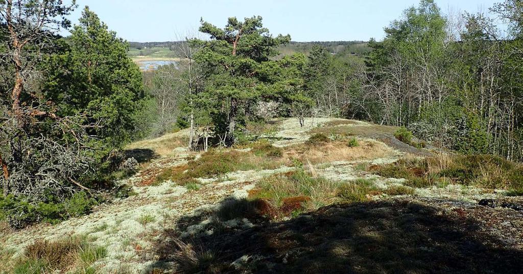 Spricdalslandsapet erbjuder stora topografisa variationer. Här en förastningsbrant vid Stensättras öppna odlingslandsap.