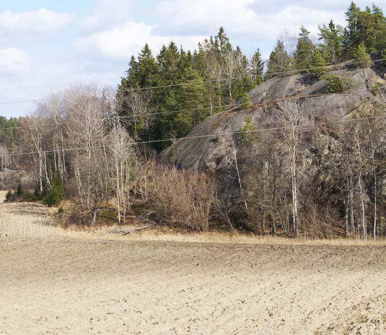 Vegetationen utgörs framförallt av tall, ljung och lav som tolererar denna magra och arga miljö.