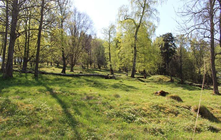 Till herrgårdarna nöts både anställda jordbrusarbetare och torpare.