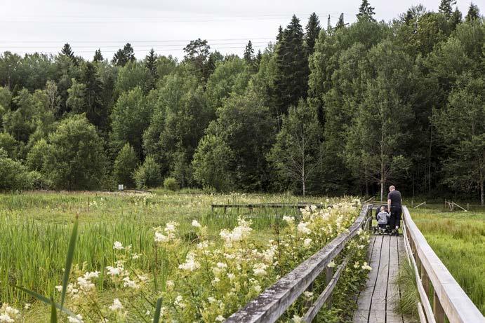 Sogs- och naturområdena hänger i många fall väl samman av ett nät av stigar och leder där friluftsgårdarna och sportanläggningarna utgör entréer. 4.3.