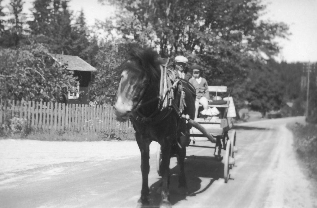 Bilden här ovan sägs föreställa min farbror Hans Nordin ( Ersk Ors-Hans ) med häst och vagn ( skarpvagn, d.v.s. en vagn med trähjul, som hade slitringar av järn utanpå).