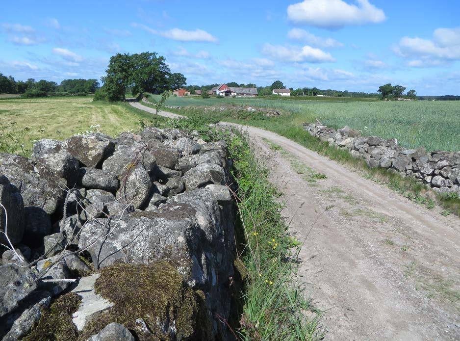 BILDER Stuga utmed gamla
