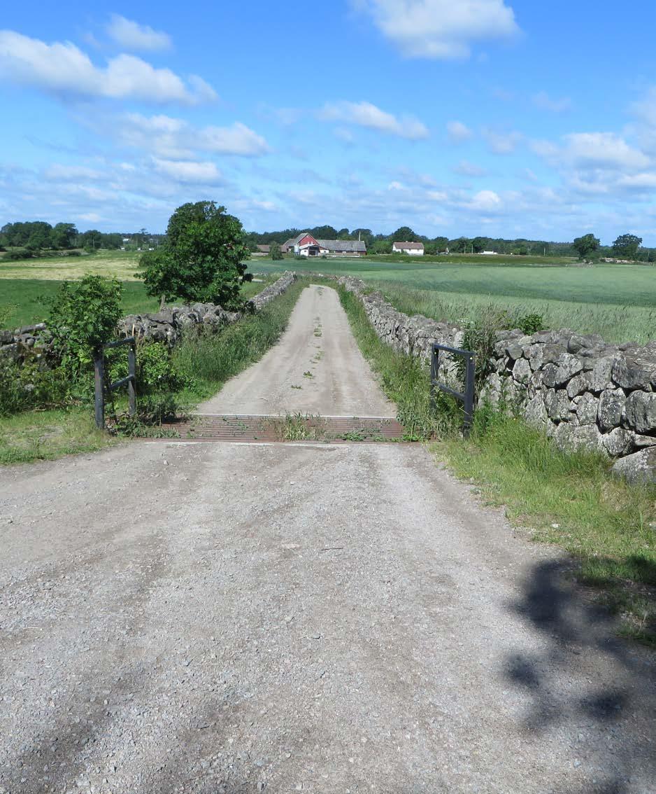 Vägmiljö och stenmurar.