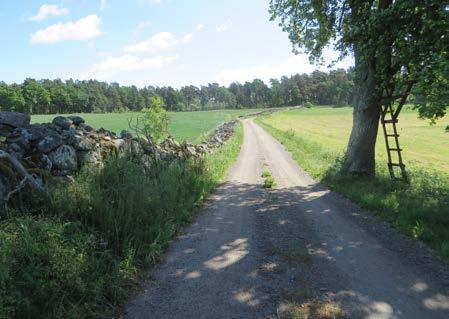 Väg och åkrar.