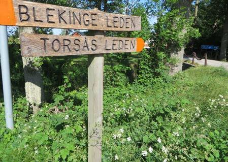 Torsåspanel.