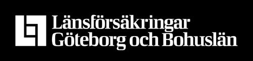 Medieakademins styrelse Emanuel Karlsten