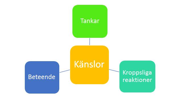 Erfarenheter ifrån barndomen kan antagligen också påverka risken för att drabbas av hälsoångest.