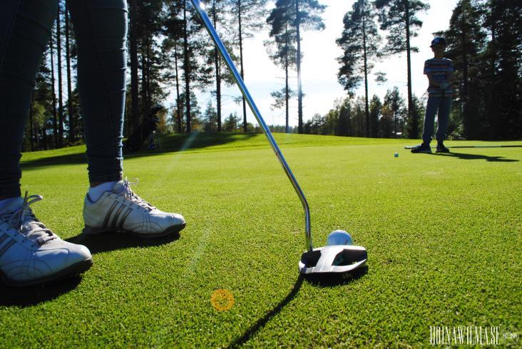 Elitlag/utvecklings grupp Träningsgrupp 12-18 år Träningsgrupp 7-11 år Golfskola 7-18 år Lära sig